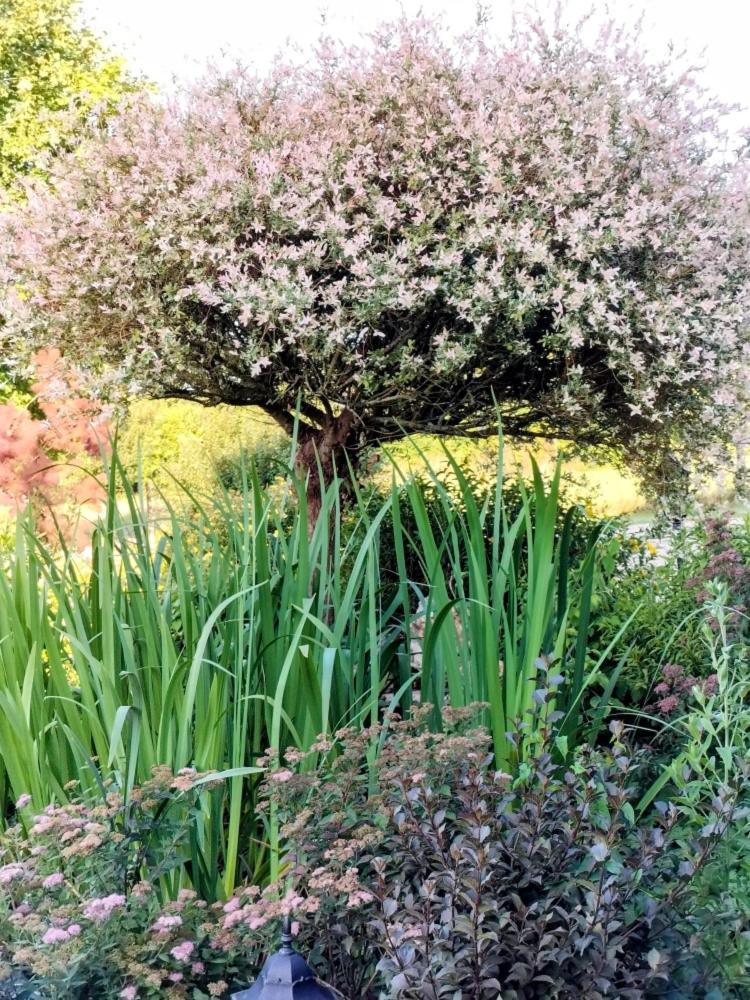 Le Clos Lauradiere Cormeilles  المظهر الخارجي الصورة