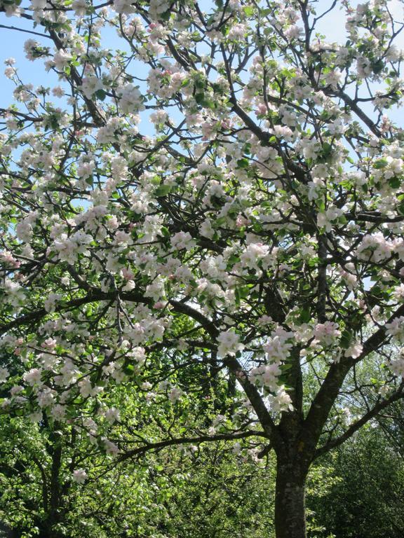Le Clos Lauradiere Cormeilles  المظهر الخارجي الصورة